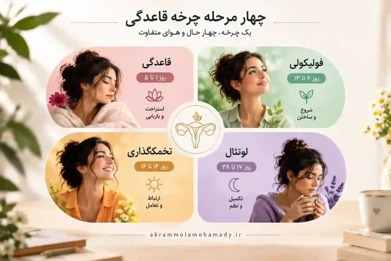 چهار مرحله چرخه قاعدگی